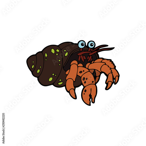 Hermit Crab cartoon illustration isolated on white background for children color book