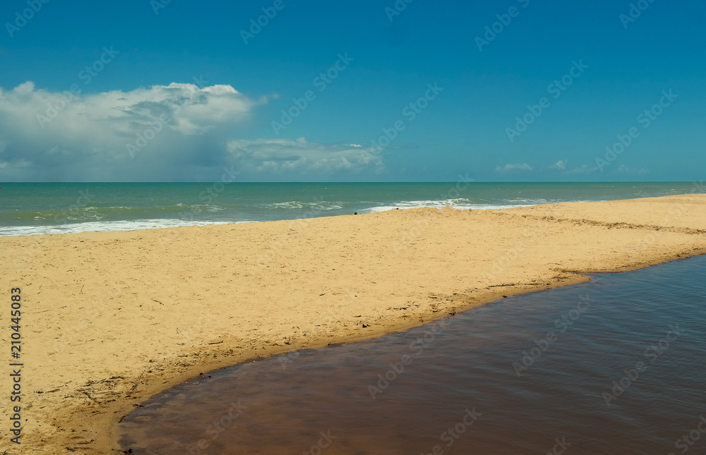 Beautiful desert beach and its water stream - Praia das ostras - Oyster beach in Prado - Bahia