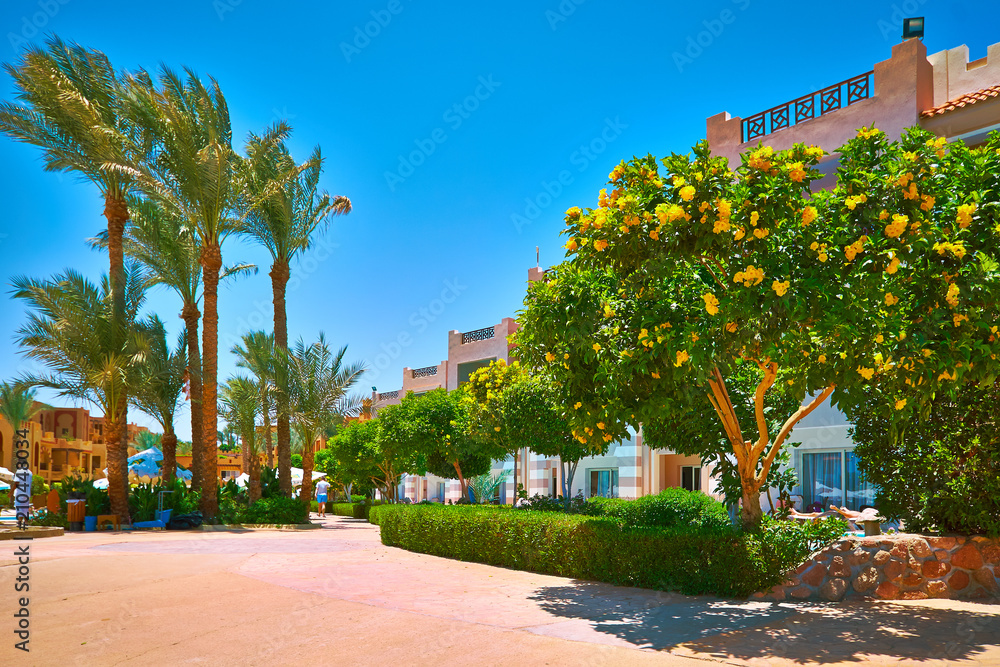 Street with blossom trees and palms, clear blue sky, midday. 