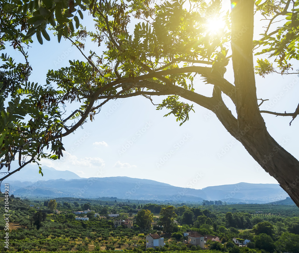 Mountains beautiful inspirational landscape in summer day. sun shines through the branches of a tree in the foreground in Crete Greece, Europe. Mountains beautiful inspirational landscape in summer day. sun shines through the branches of a tree in the foreground in Crete Greece, Europe.