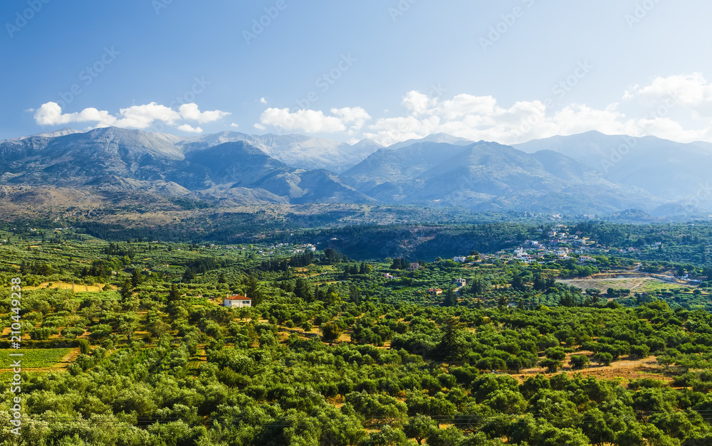 Landscape and Olive Groves in south Crete. Agriculture and Olive Groves determine the picture on the Island.