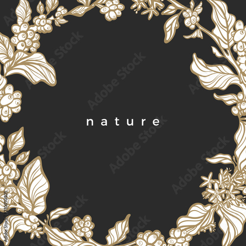 Vector nature border of coffee tree