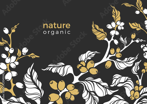 Vector banner of coffee branch. Template