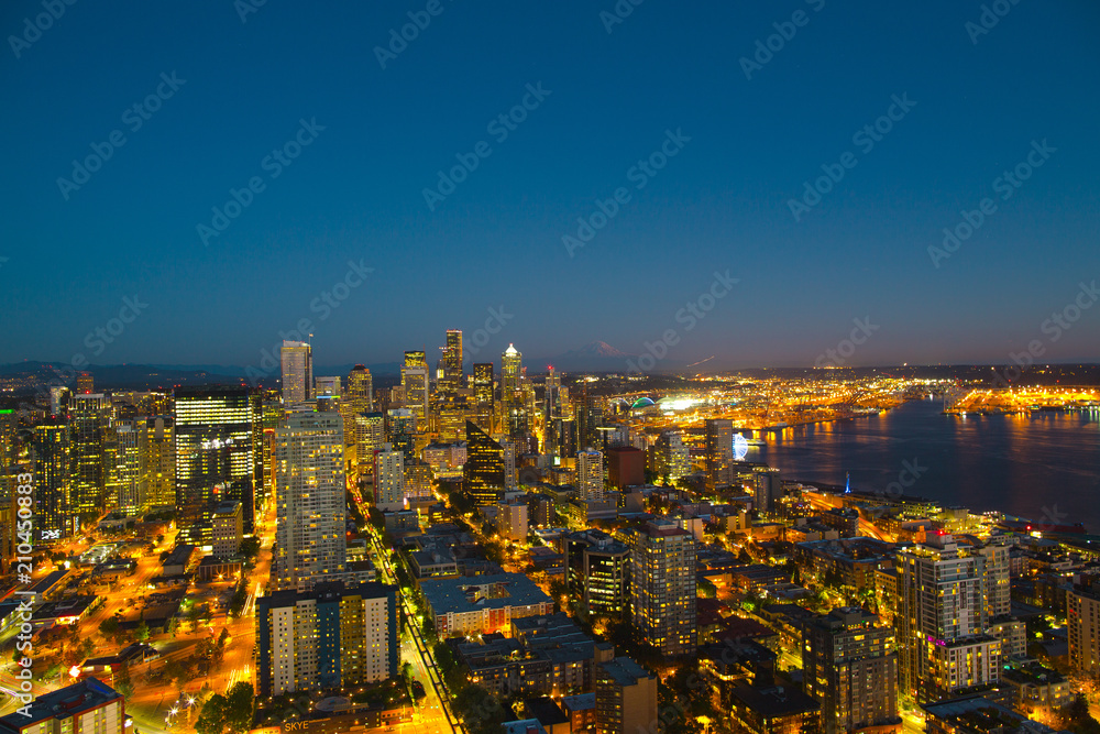 Fototapeta premium Widok Space Needle nocą.