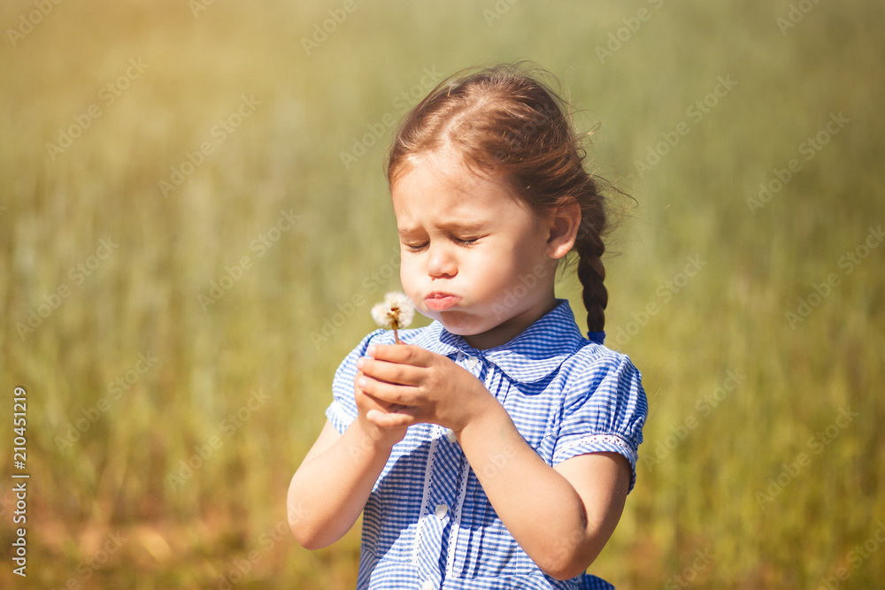 little girl blowing on dandelions in summer in the field
little girl blowing on dandelions in summer in the field