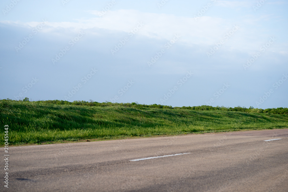 Fototapeta premium road in fields covered