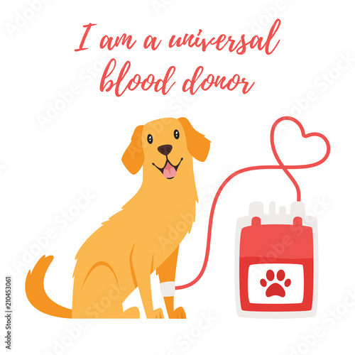 pet donor concept