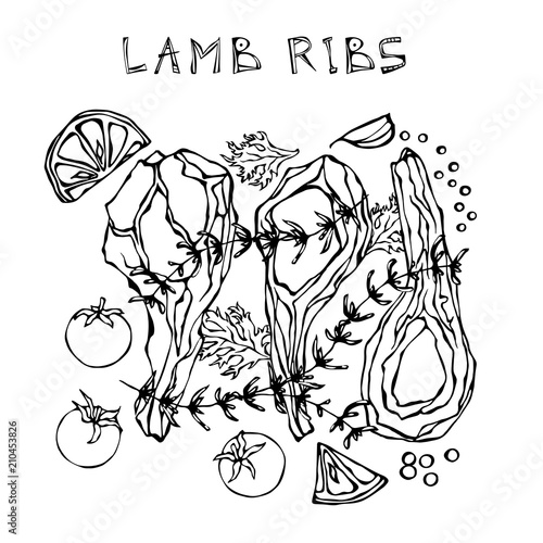 Lamb Ribs Chops with Herbs, Lemon, Tomato, Parsley, Thyme, Pepper. Meat Guide for Butcher Shop or Steak House Restaurant Menu. Hand Drawn Illustration. Doodle Style.