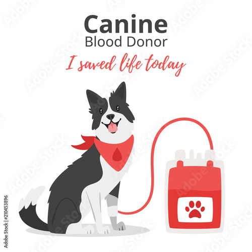 pet donor concept