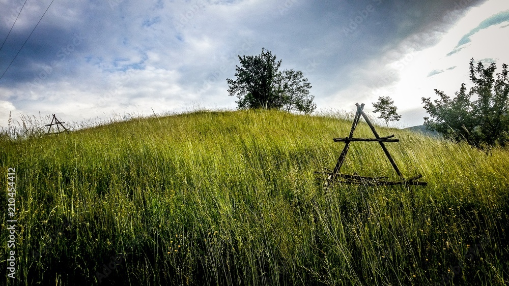 Fototapeta premium Rajcinovice meadow