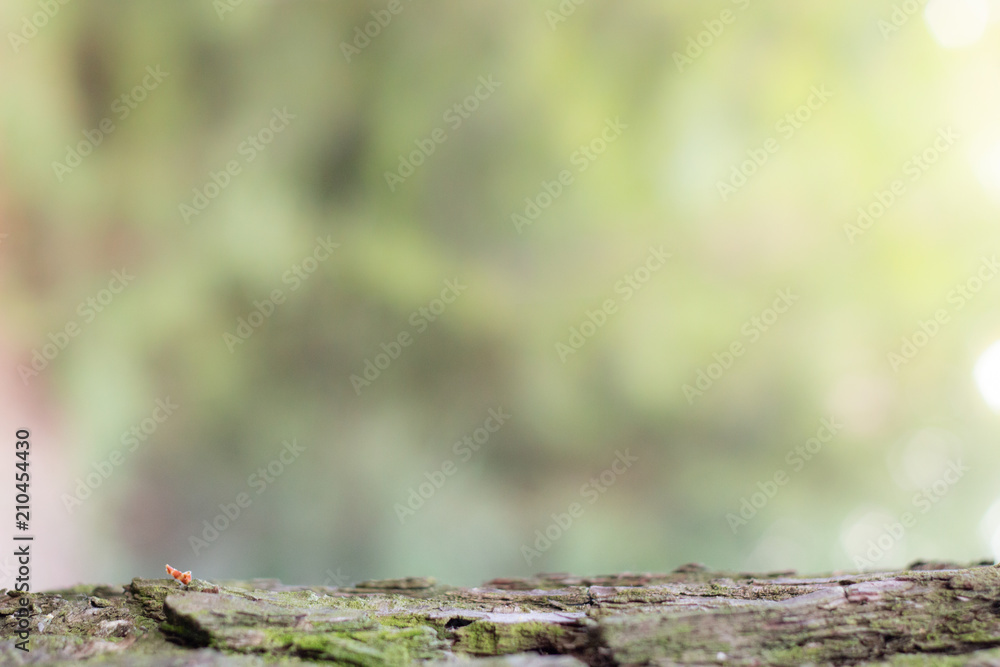 Wooden table in the forest with blurred background Wooden table in the forest with blurred background