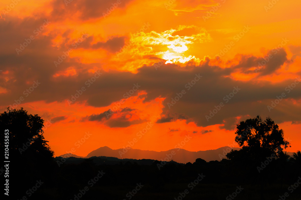 silhouette tree time sunset in beautiful sky twilight time silhouette tree time sunset in beautiful sky twilight time