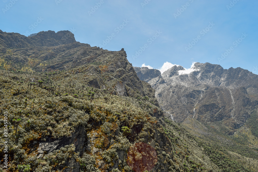 Mount Stanley in the Rwenzori Mountains Range seen from Bujuku Valley, Rwenzori Mountains, Uganda