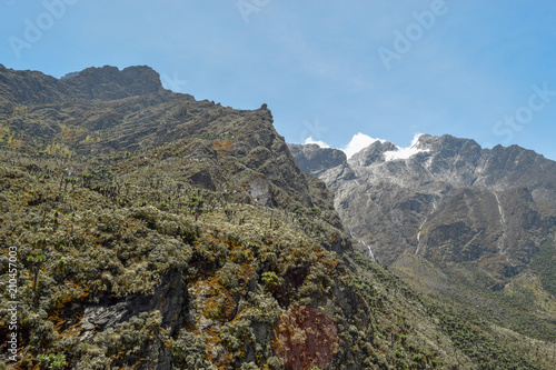 Mount Stanley in the Rwenzori Mountains Range seen from Bujuku Valley, Rwenzori Mountains, Uganda photo