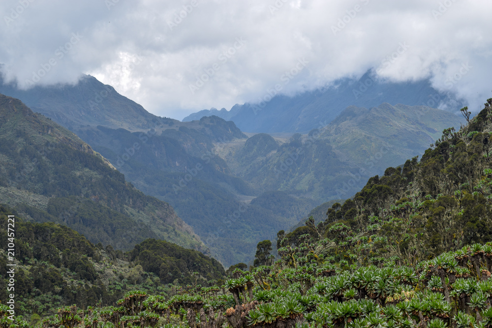 Naklejka premium An aerial view of Bujuku Valley with a mountain background, Rwenzori Mountains National Park, Uganda 