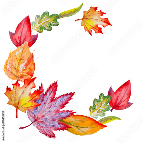 Circle autumn composition for your design with bright hand drawn watercolor orange, yellow, green, red and vinous leaves, on the square white background