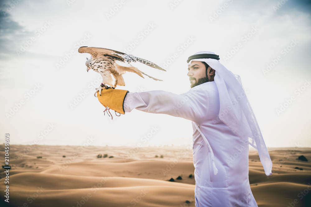 Fototapeta premium Arabski mężczyzna w tradycyjnym emirackim stroju spacerujący po pustyni ze swoim sokołem