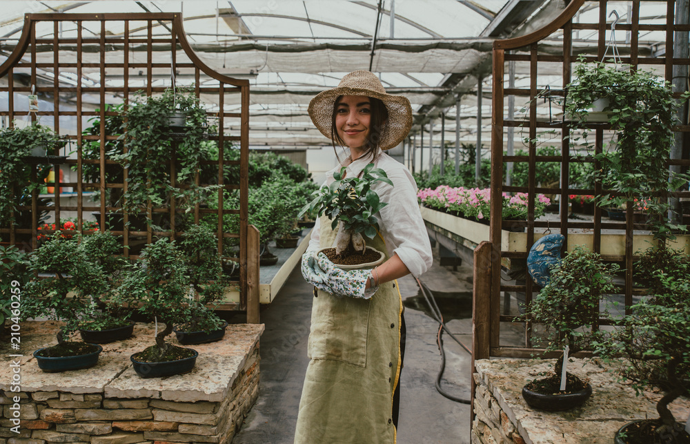 Bonsai greenhouse center. rows with small trees, woman working and taking  care of the plants Stock Photo | Adobe Stock