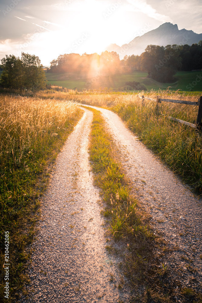Fototapeta premium Polna droga i pole zboża w zachodzie słońca, harmonia