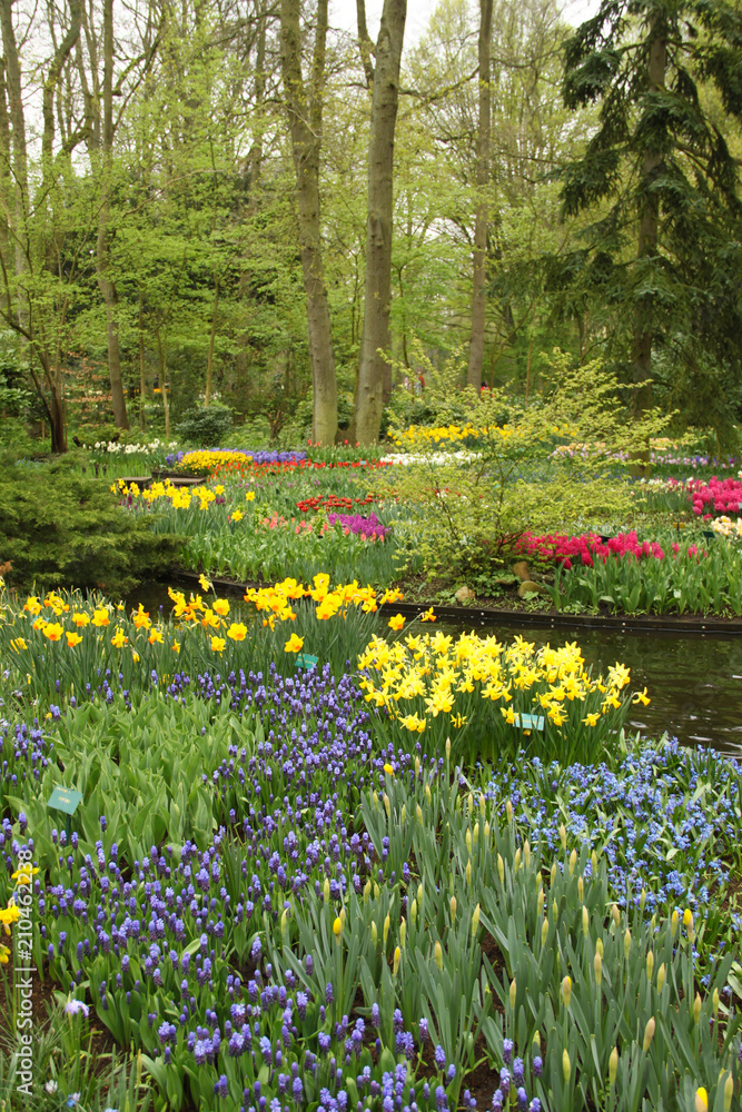 Fototapeta premium Colorful Surroundings