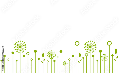 
Decorative Elements for design, dandelions flowers blooming and other wild field plants. 