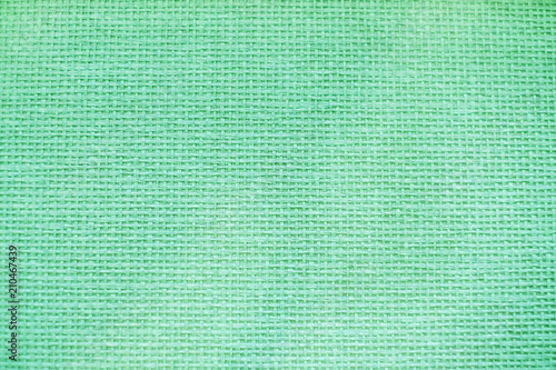Texture green cloth bag