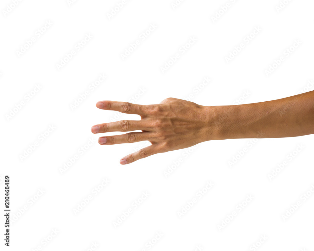 Clipping path hand gestures isolated on white background. Hand making number five sign or symbol gesture. Back hand gesture.