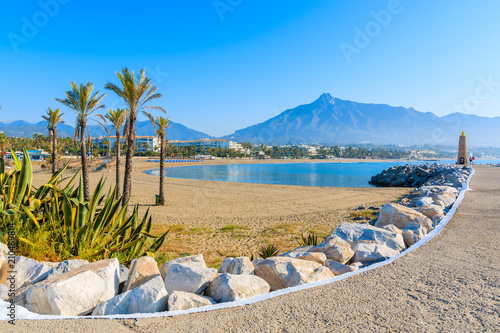 View of beautiful beach with palm trees in Marbella near Puerto Banus marina, Costa del Sol, Spain photo