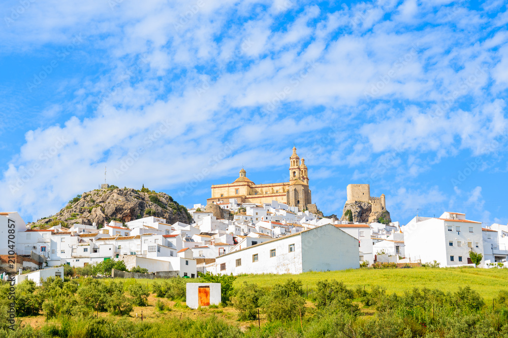 Olvera village with white houses and green fields in foreground in spring season, Andalusia, Spain