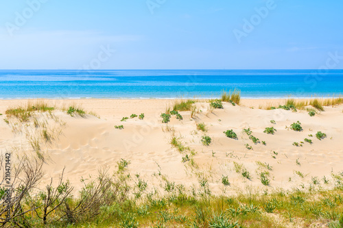 Grass sand dune and blue sea view on white sand Bolonia beach, Andalusia, Spain