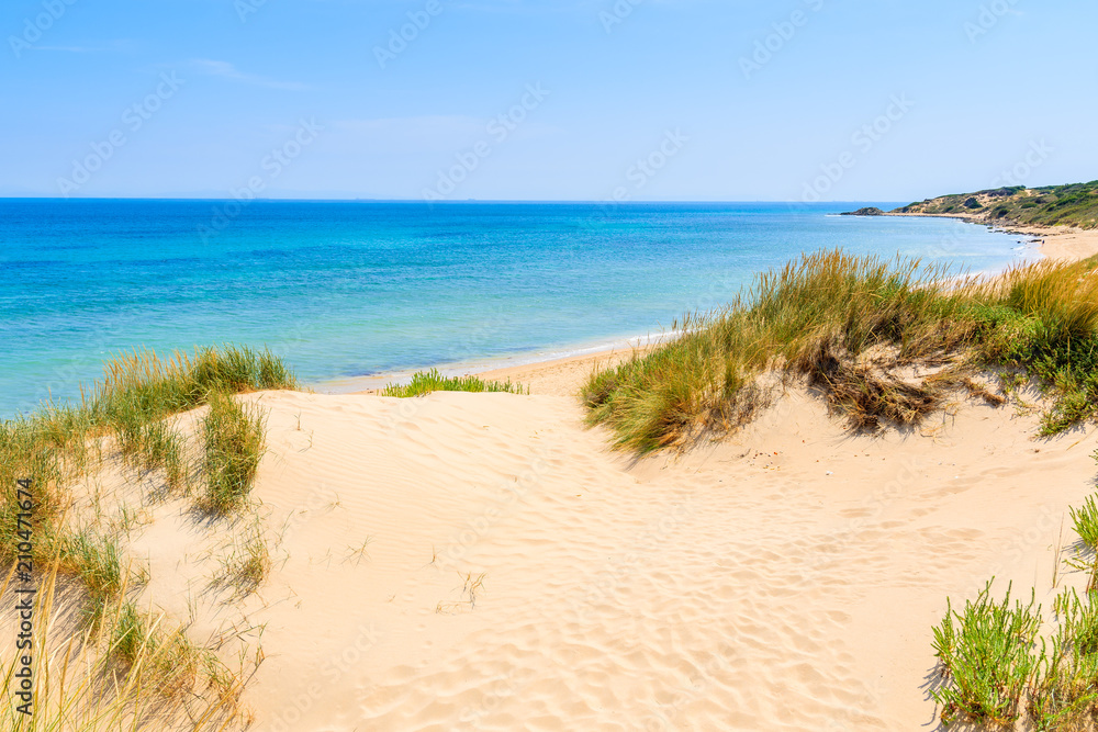 Grass sand dunes on Paloma beach, Andalusia, Spain Grass sand dunes on Paloma beach, Andalusia, Spain