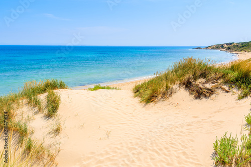 Fototapeta Naklejka Na Ścianę i Meble -  Grass sand dunes on Paloma beach, Andalusia, Spain