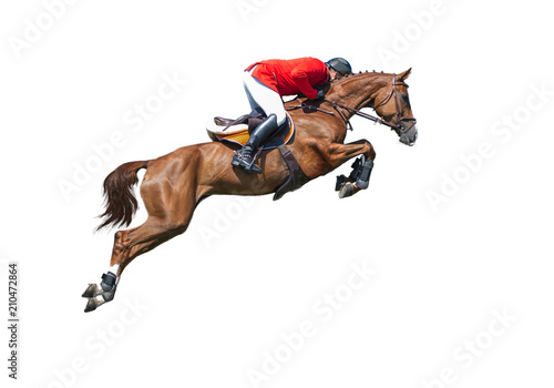 Fotografie, Tablou Rider on bay horse in jumping show, isolated on white background