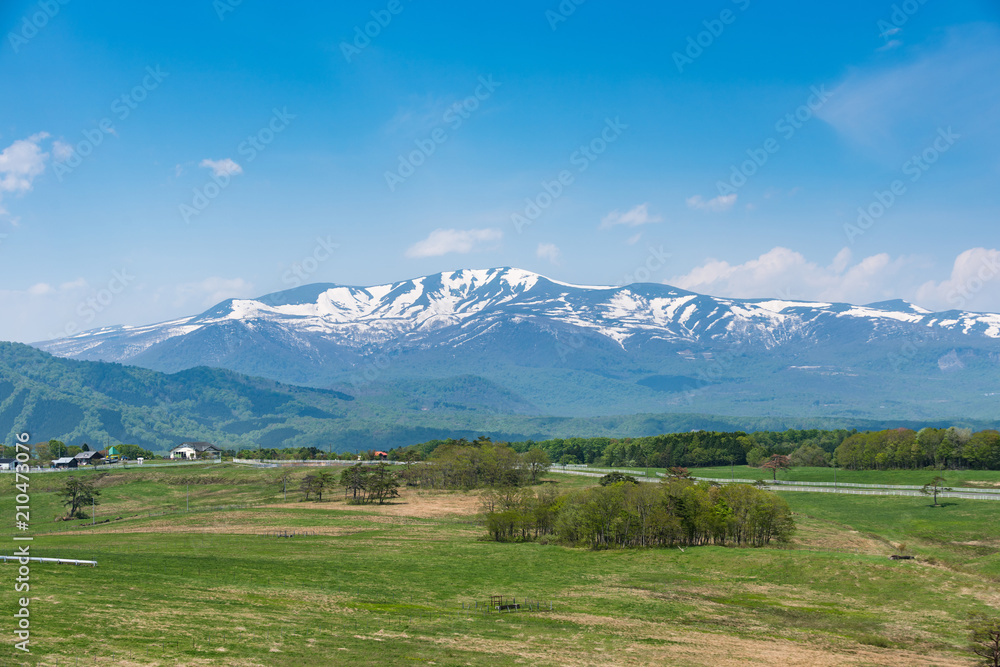 Naklejka premium 残雪の残る春の栗駒山