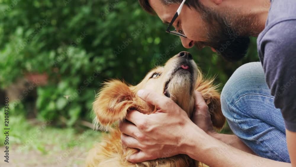 Friendship between humans and Pets. Man squeezes his dog's muzzle, outdoors in summer park. The owner strokes his favorite dog Cocker Spaniel Friendship between humans and Pets. Man squeezes his dog's muzzle, outdoors in summer park. The owner strokes his favorite dog Cocker Spaniel