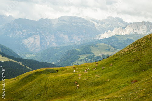 Fototapeta Naklejka Na Ścianę i Meble -  view of Dolomites Alps