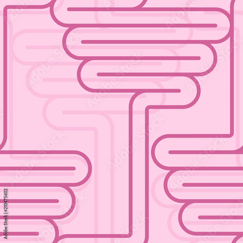 Intestines pattern seamless. digestive tract bacground. Human gut texture. Vector illustration
