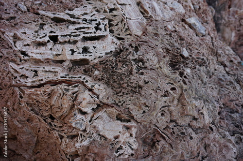 Wallpaper Mural On this photo you can see close-up the structure of the stone, which for many thousands of years was pressed from shells. Shooted on Cami de Pintors on Mallorca, Spain, june 2018. Torontodigital.ca