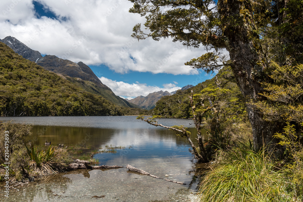 Lake Howden from the Lake Howden Hut on the Routeburn Track, Fiordland National Park, Southland, New Zealand.