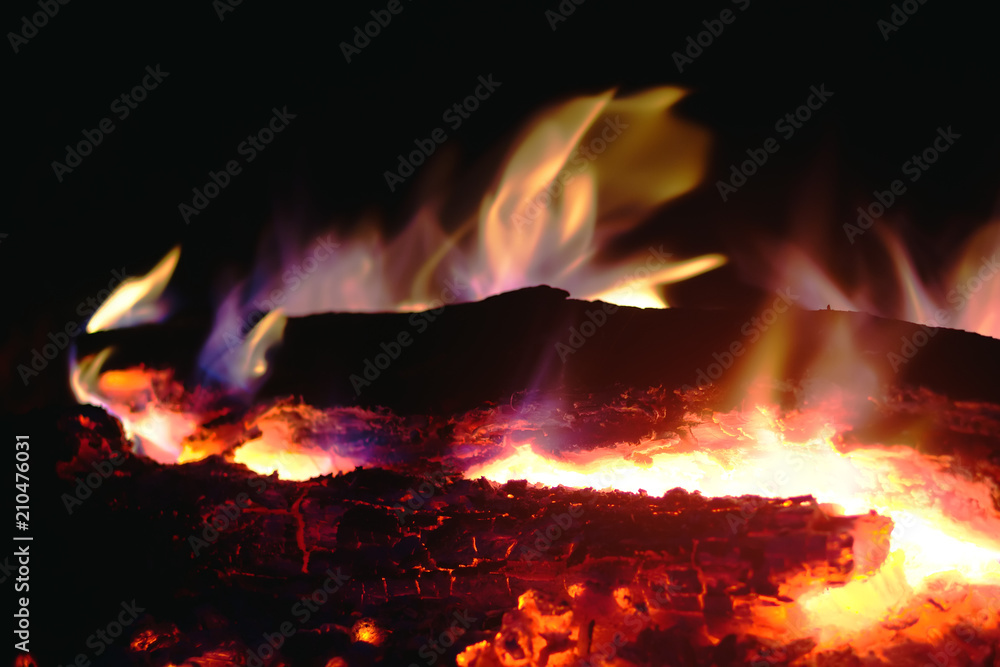 Fototapeta premium flame of a fire burning in the dark night and the burning coals that give warmth to the hearth in the wild.