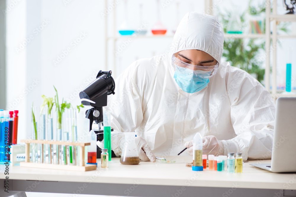 Male biochemist working in the lab on plants Male biochemist working in the lab on plants