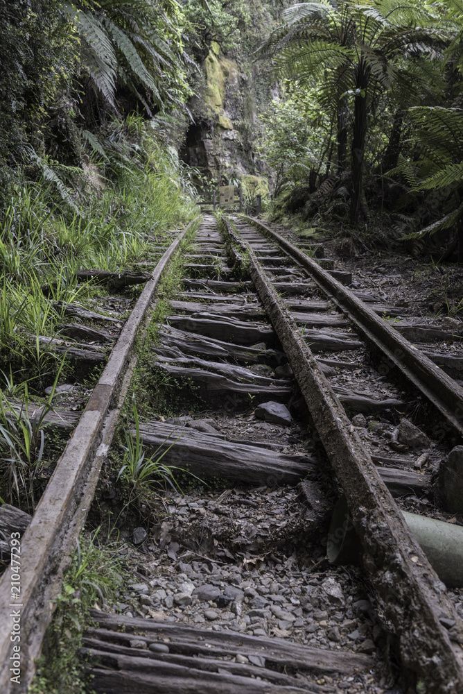Obraz premium Abandoned and derelict railway for mining operations along the Charming Creek Walkway in the Ngakawau Gorge, West Coast, New Zealand.