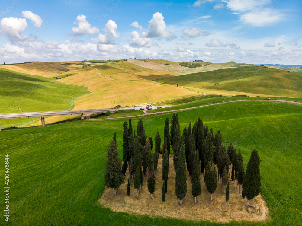 Group of italian cypresses near San Quirico d´Orcia - called Cipressi di San Quirico d'Orcia - aerial view - Val d’Orcia, Tuscany, Italy
