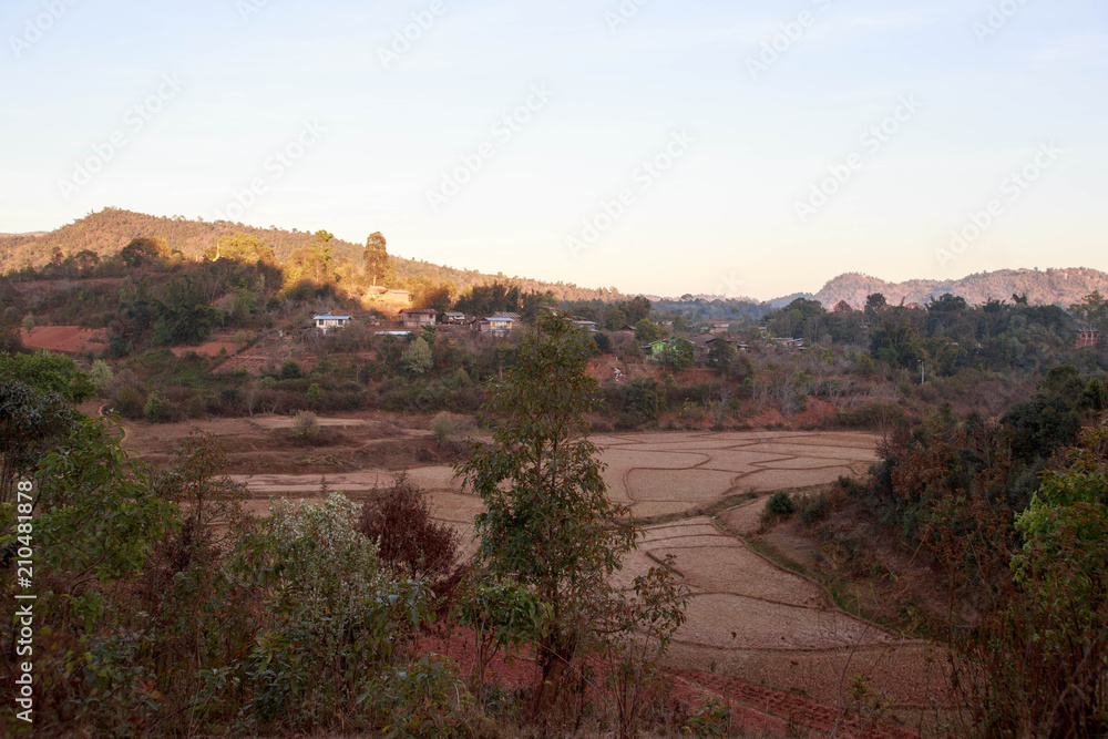 Rice paddies in dry season next to small village in rural Myanmar