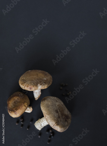 shiitake mushroom on dark background