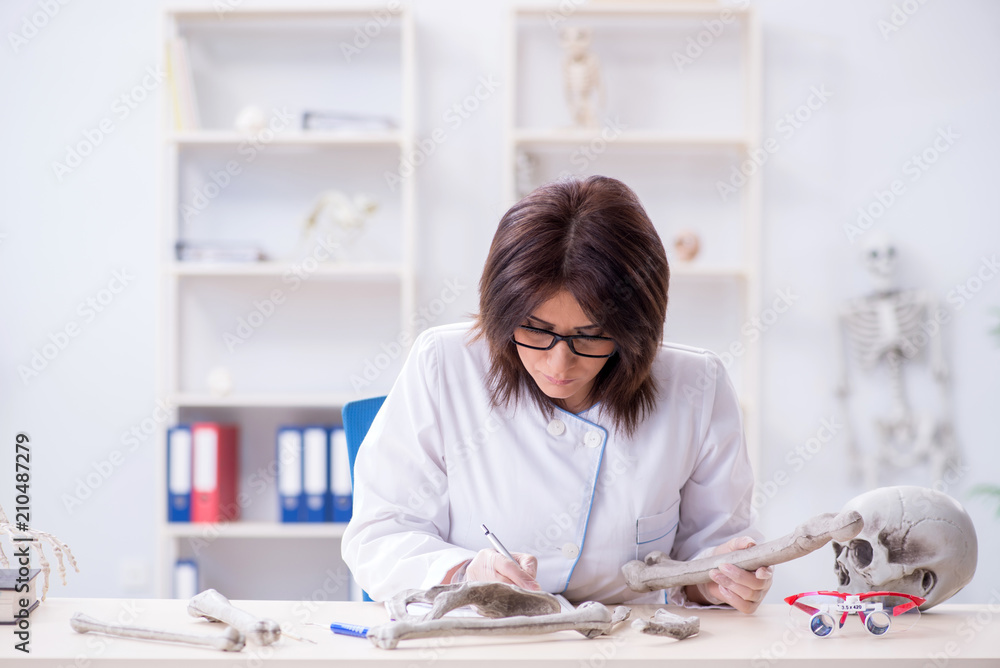 Doctor working in the lab on skeleton Doctor working in the lab on skeleton