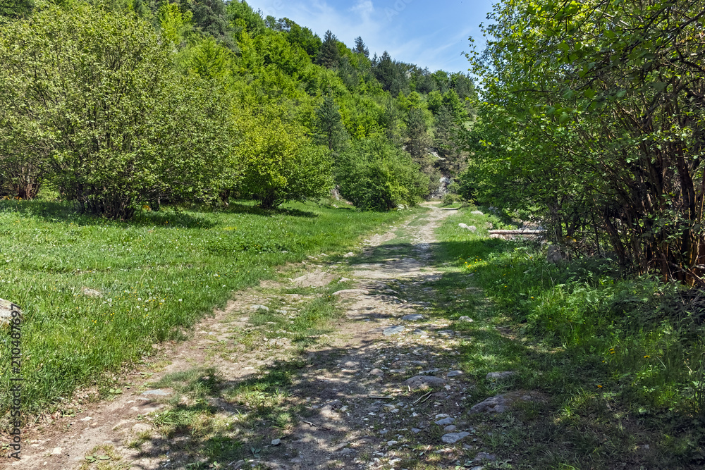 Landscape with Green Hills near village of Fotinovo in Rhodopes Mountain, Pazardzhik region, Bulgaria Landscape with Green Hills near village of Fotinovo in Rhodopes Mountain, Pazardzhik region, Bulgaria