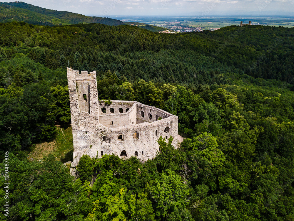 Aerial view from drone to the ruins of old medieval castle Spesbourg, Alsace