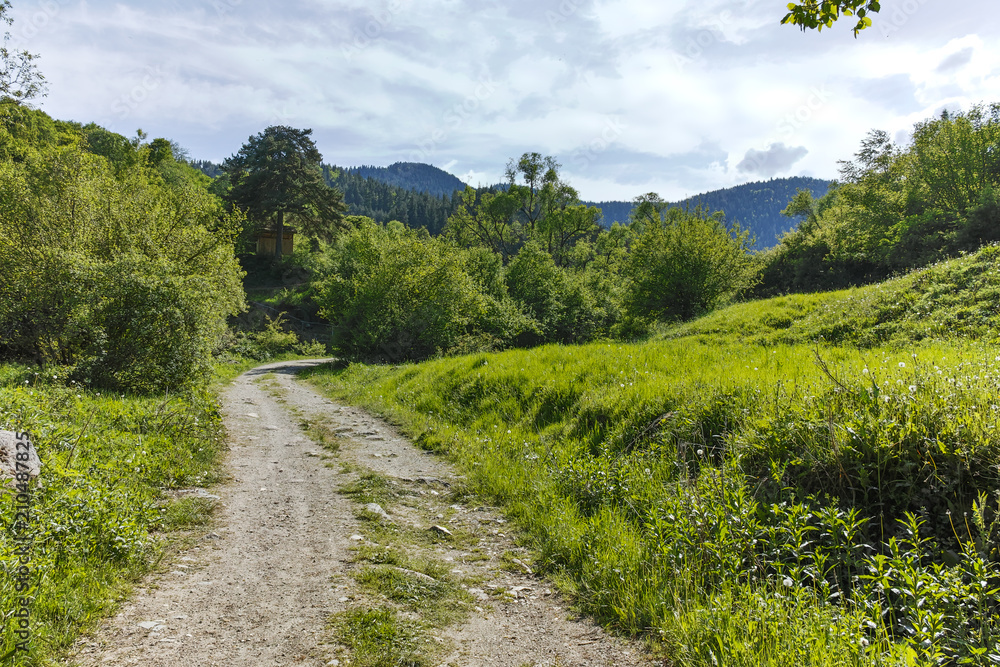 Landscape with Green Hills near village of Fotinovo in Rhodopes Mountain, Pazardzhik region, Bulgaria