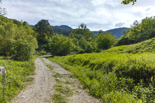 Landscape with Green Hills near village of Fotinovo in Rhodopes Mountain  Pazardzhik region  Bulgaria